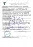 Перчатки ZKS™ нитриловые 'Spectrum Grade DV-3.0' темно-фиолетовые размер S