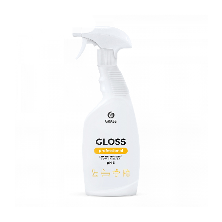 Средство чистящее GLOSS PROFESSIONAL 600мл флакон